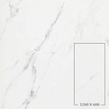 STATUARIO GRIGIO (HONED)