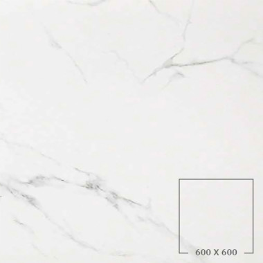 STATUARIO GRIGIO (HONED)