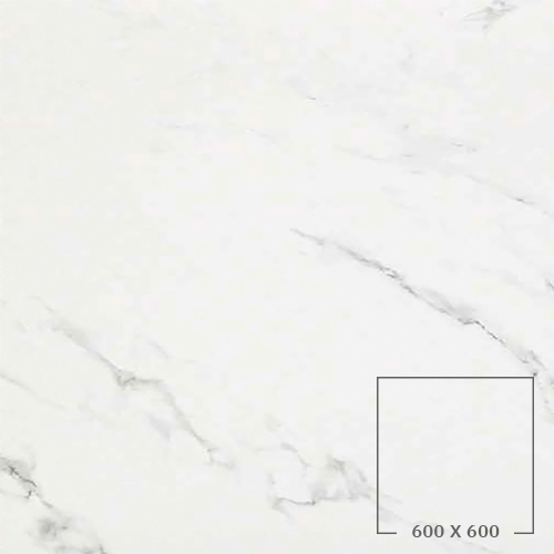 STATUARIO GRIGIO (LUCIDO)